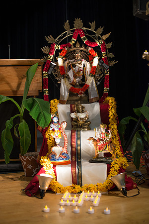 Samanta_AMC_8341